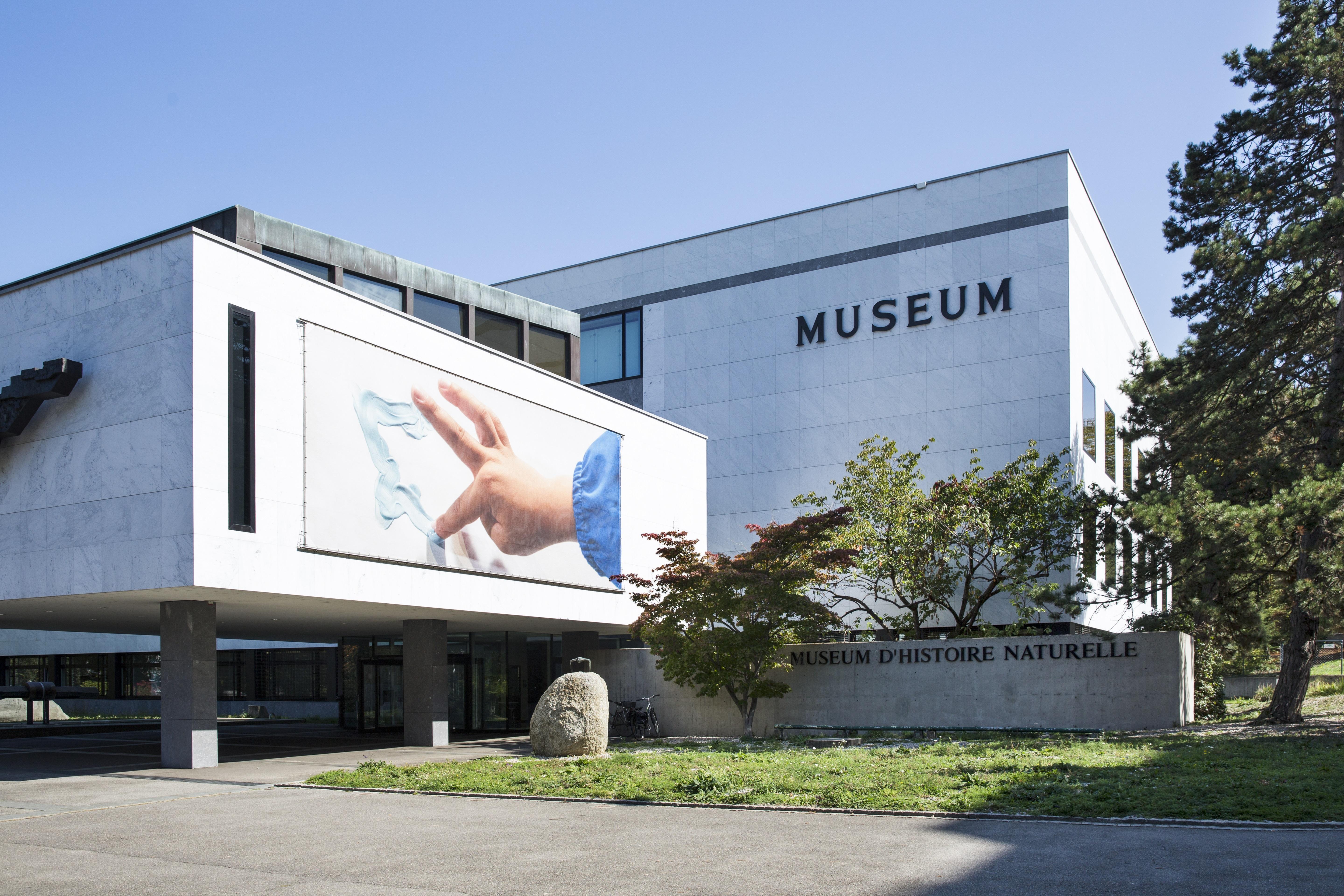 museum histoire naturelle