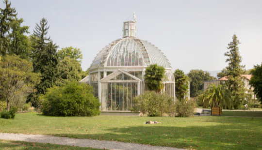 Jardin Botanique Jardin Botanique