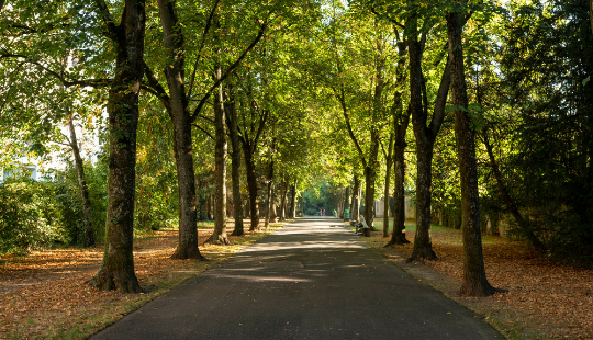 parc Bertrand