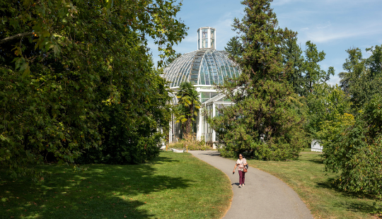 Jardin Botanique 