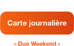 Carte journalière tpg