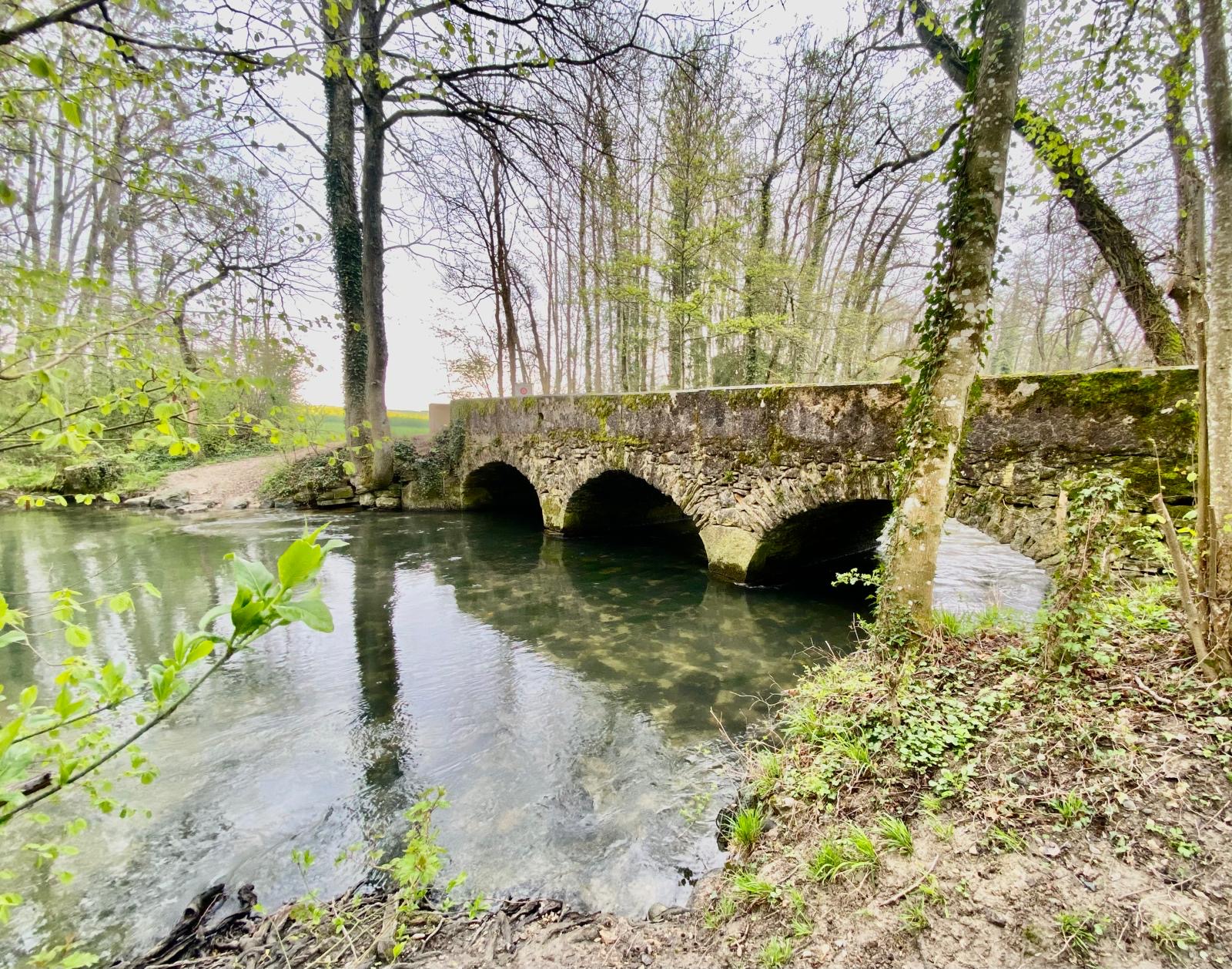 Point d'eau au cours d'une balade Point d'eau au cours d'une balade