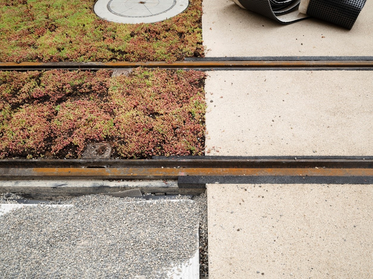 Végétalisation du site tram à la rue de Carouge
