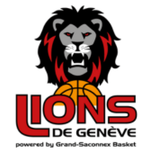 Lions logo