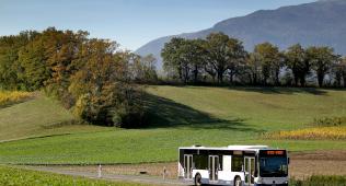 Belle-Terre