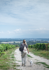 Journée cantonale sur les chemins de randonnée