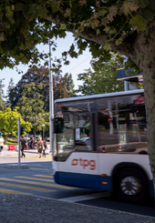 bus horloge fleurie vignette