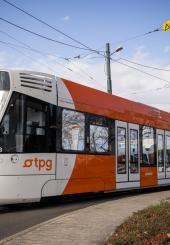 Importants travaux prévus cet été sur le réseau tram des tpg