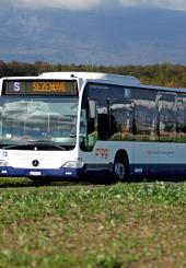 20250917 tpg communique de presse don pdfbus 0
