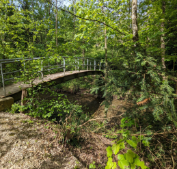 rando boucle de la Drize